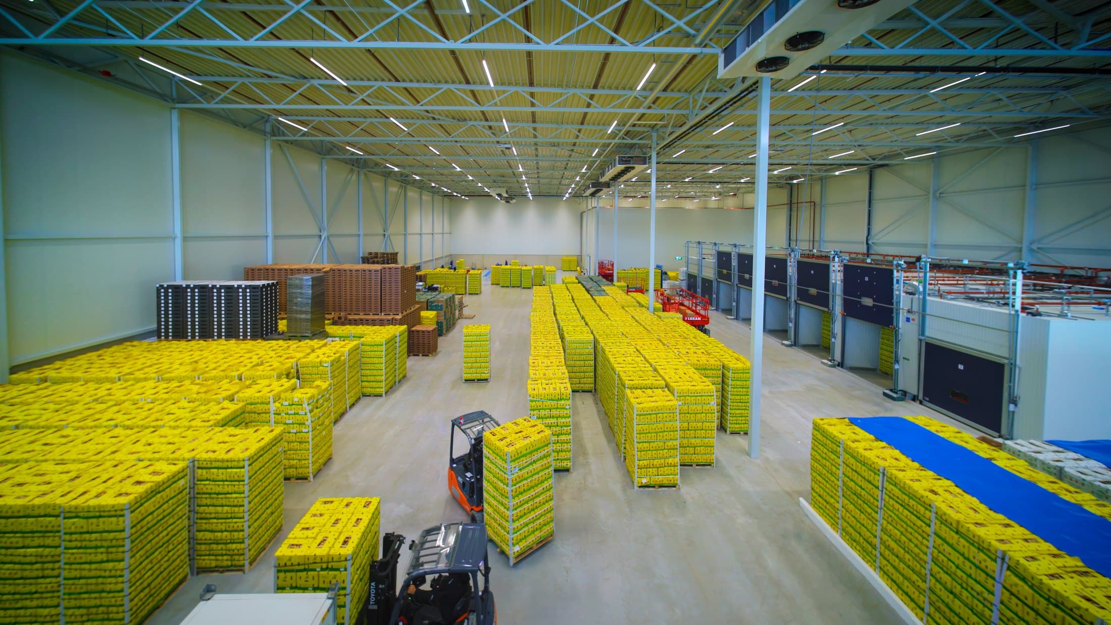 Pallets of packed ginger in the Breda warehouse